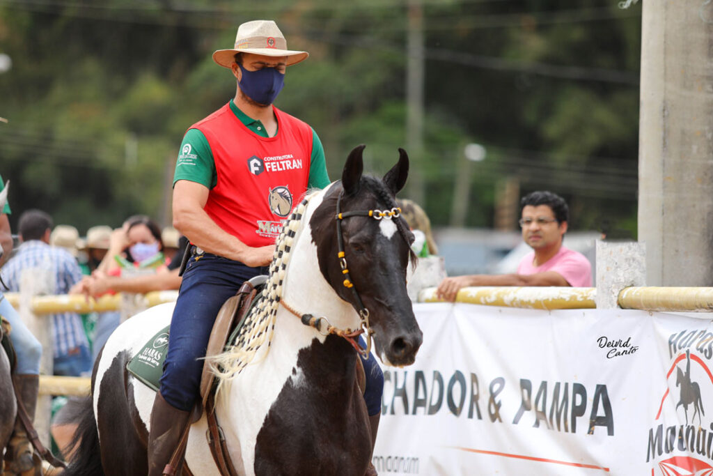 27 Exposição Nacional do Cavalo Pampa 2020 em Itaipava - RJ