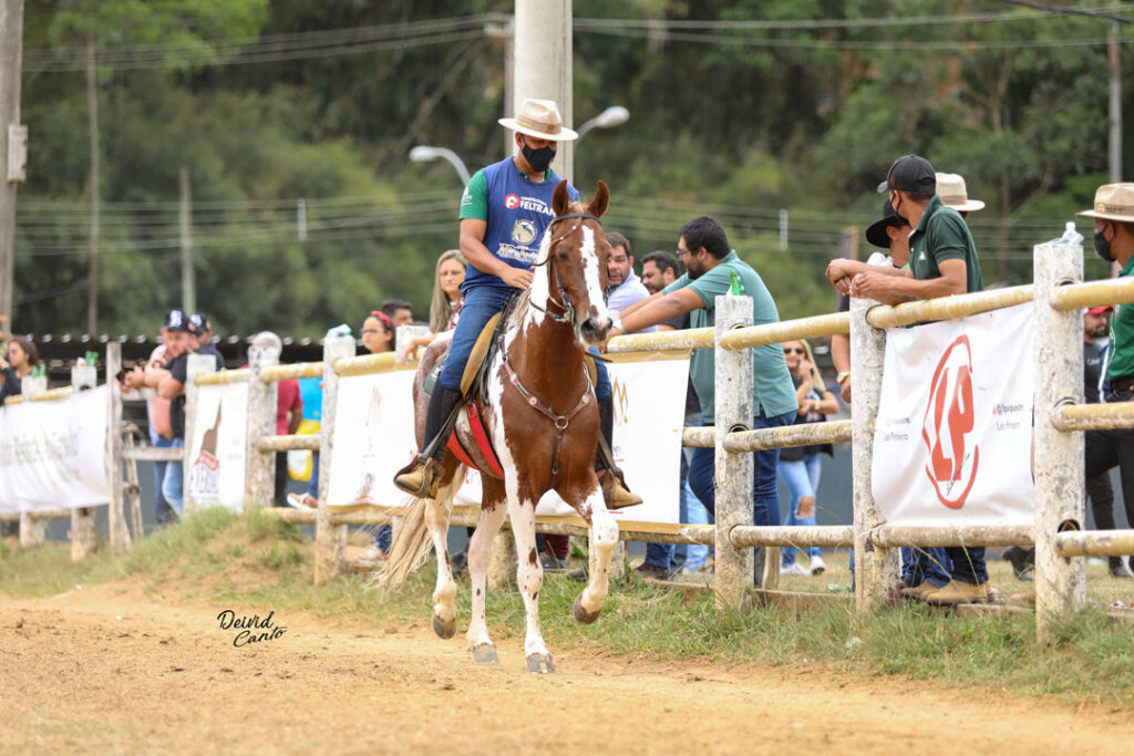 27 Exposição Nacional do Cavalo Pampa 2020 em Itaipava - RJ